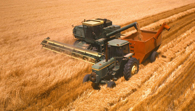 Agriculture Equipment